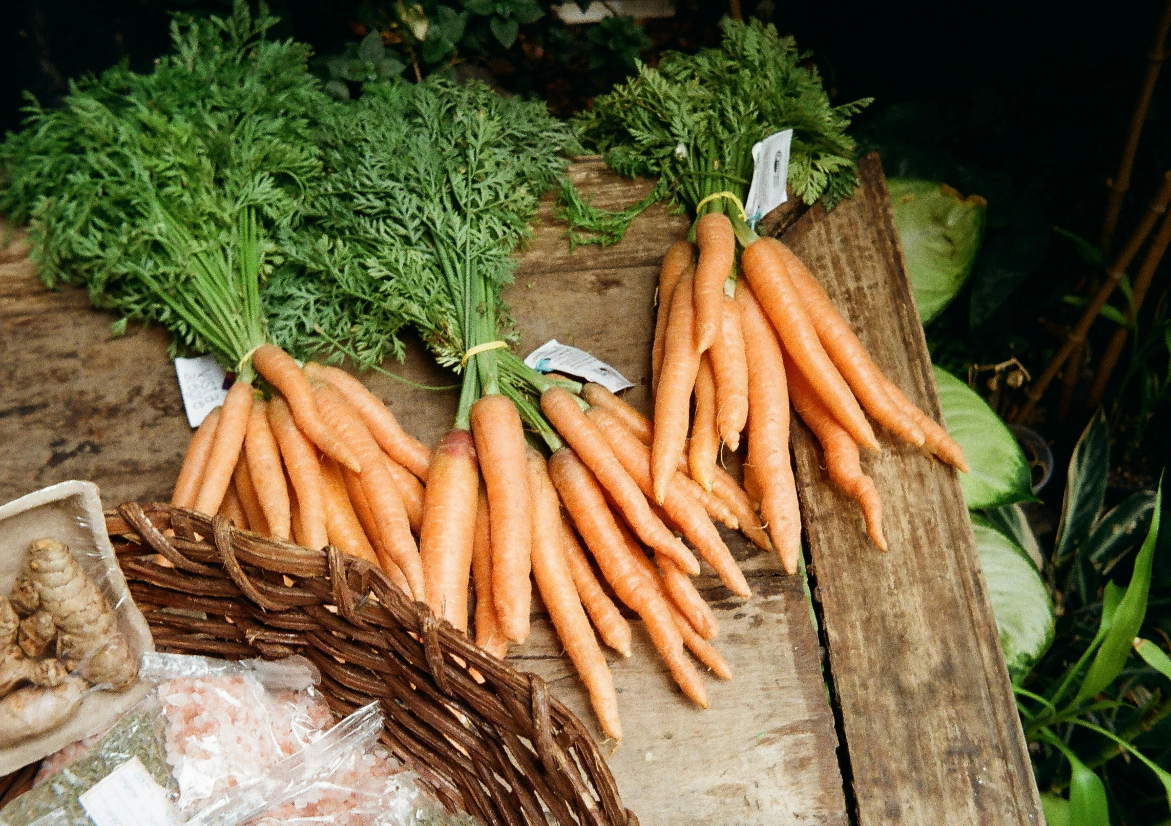 a bunch of carrots sitting on top of a wooden table, market stalls, award-winning crisp details”, with a brilliant, petite