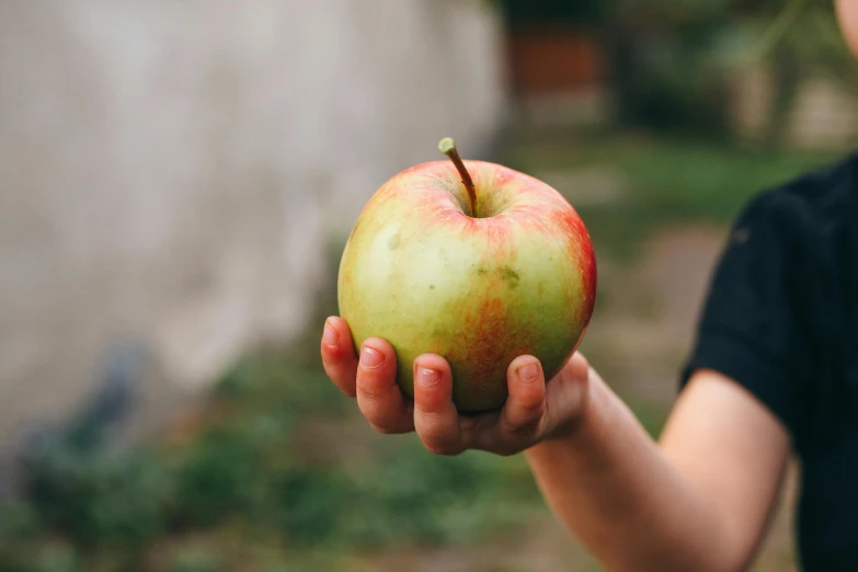 a person holding an apple in their hand, pexels contest winner, an olive skinned, 2 5 6 x 2 5 6 pixels, exterior shot, amanda lilleston