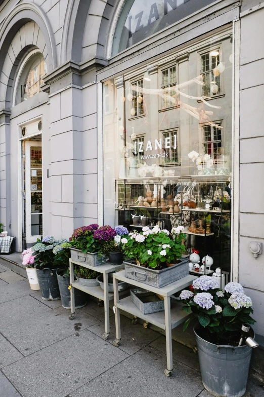 a row of planters on a sidewalk in front of a store, a picture, by Constantin Hansen, trending on unsplash, window with flower box, white marble buildings, ignant, lush flowery outdoors