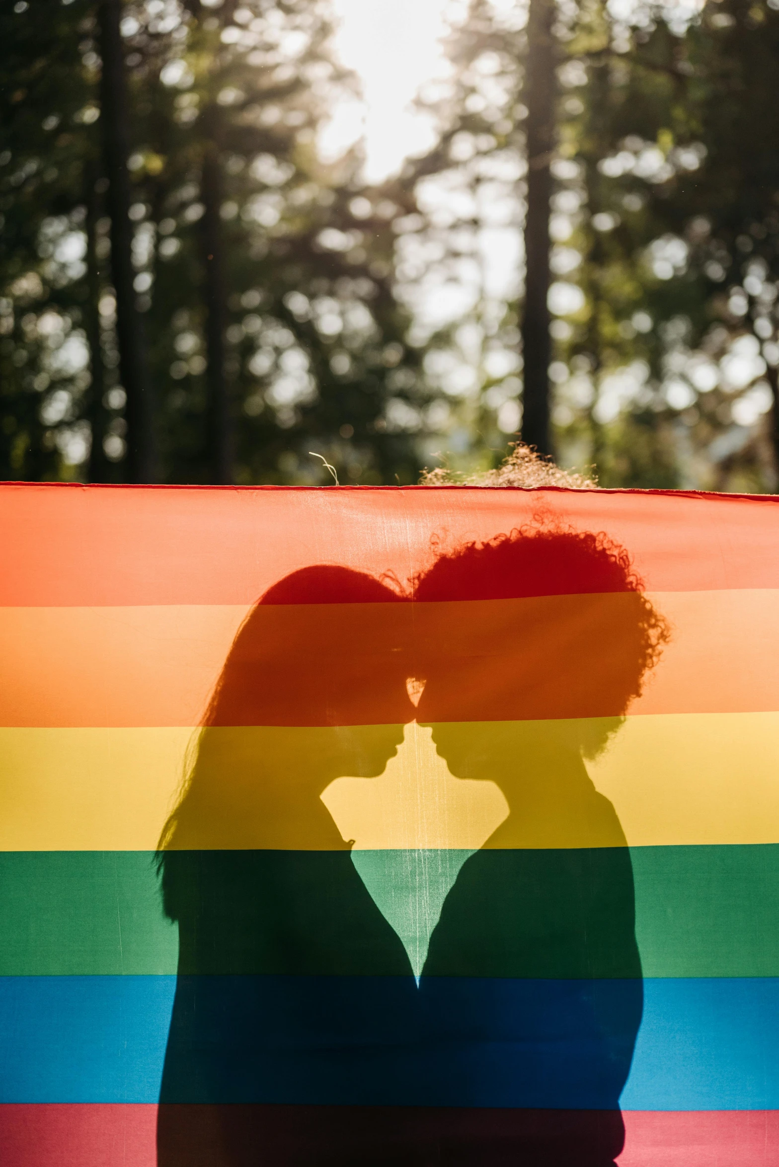 a couple kissing in front of a rainbow flag, by Lily Delissa Joseph, trending on pexels, symbolism, silhouette, mix of ethnicities and genders, 🚿🗝📝