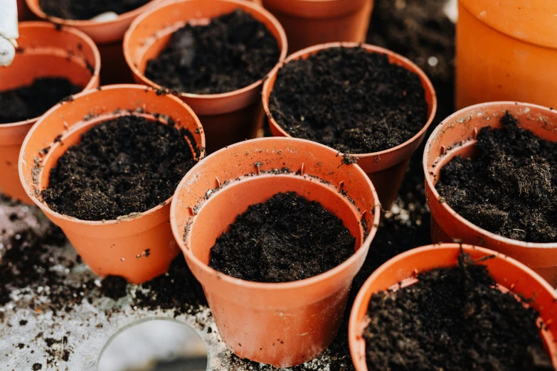 a group of clay pots filled with dirt, unsplash, orange plants, ready to eat, thumbnail, zoomed out shot