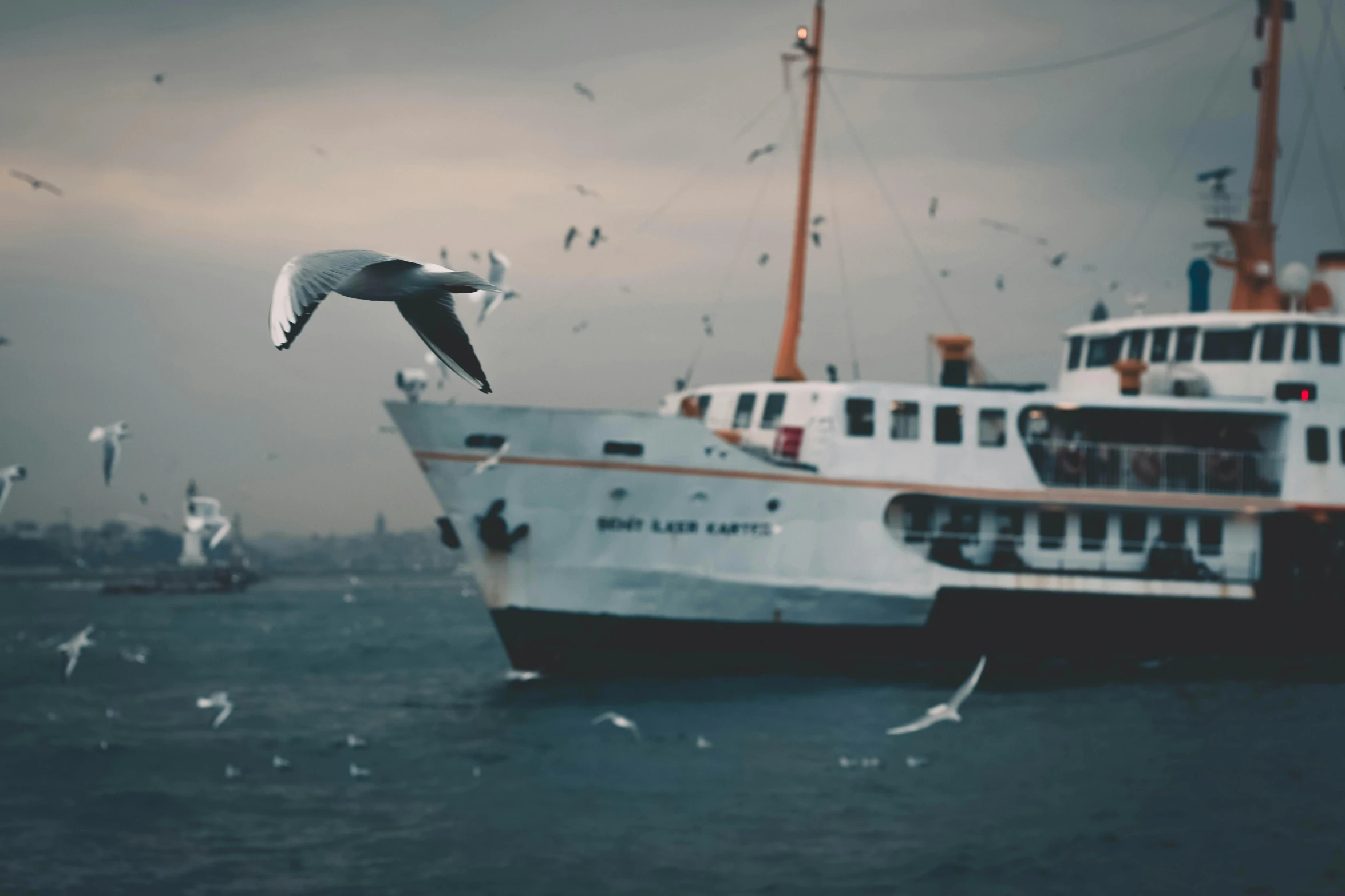 a large white boat floating on top of a body of water, by Ibrahim Kodra, pexels contest winner, art photography, seagulls, vintage color, overcast! cinematic focus, youtube thumbnail