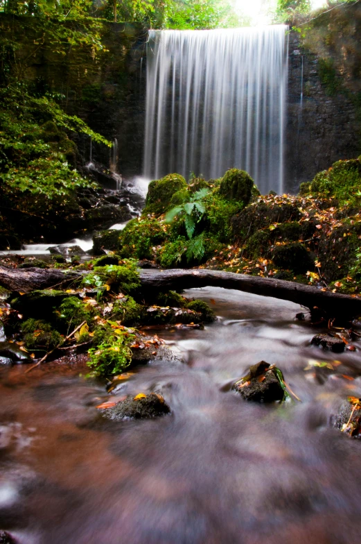 a waterfall flowing through a lush green forest, by Peter Churcher, river flowing through a wall, slide show, gwyn, autum