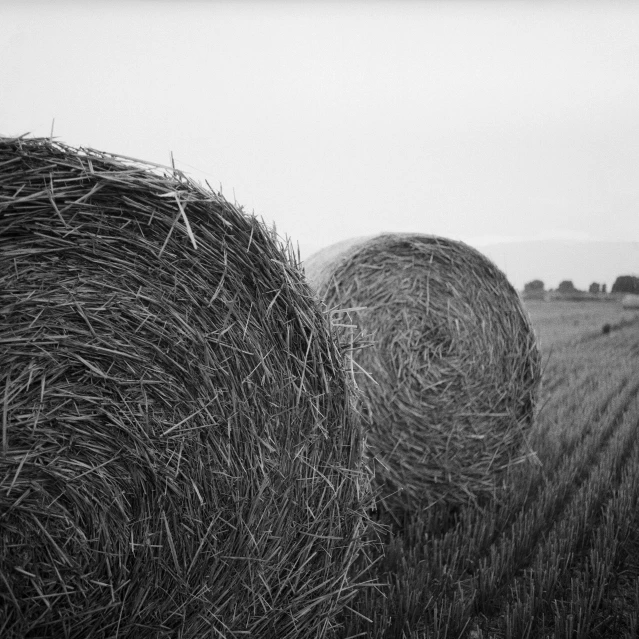 a black and white photo of hay bales in a field, by Karl Buesgen, portrait image, detailed medium format photo, profile image, hasselblad photograph