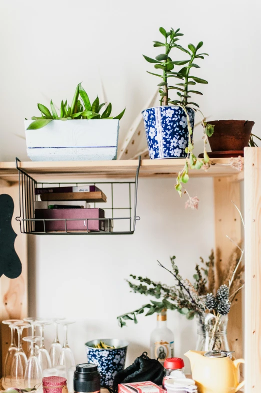 a shelf that has some plants on top of it, by Julia Pishtar, trending on unsplash, arts and crafts movement, small and cosy student bedroom, studio photo, upcycled, detail shot