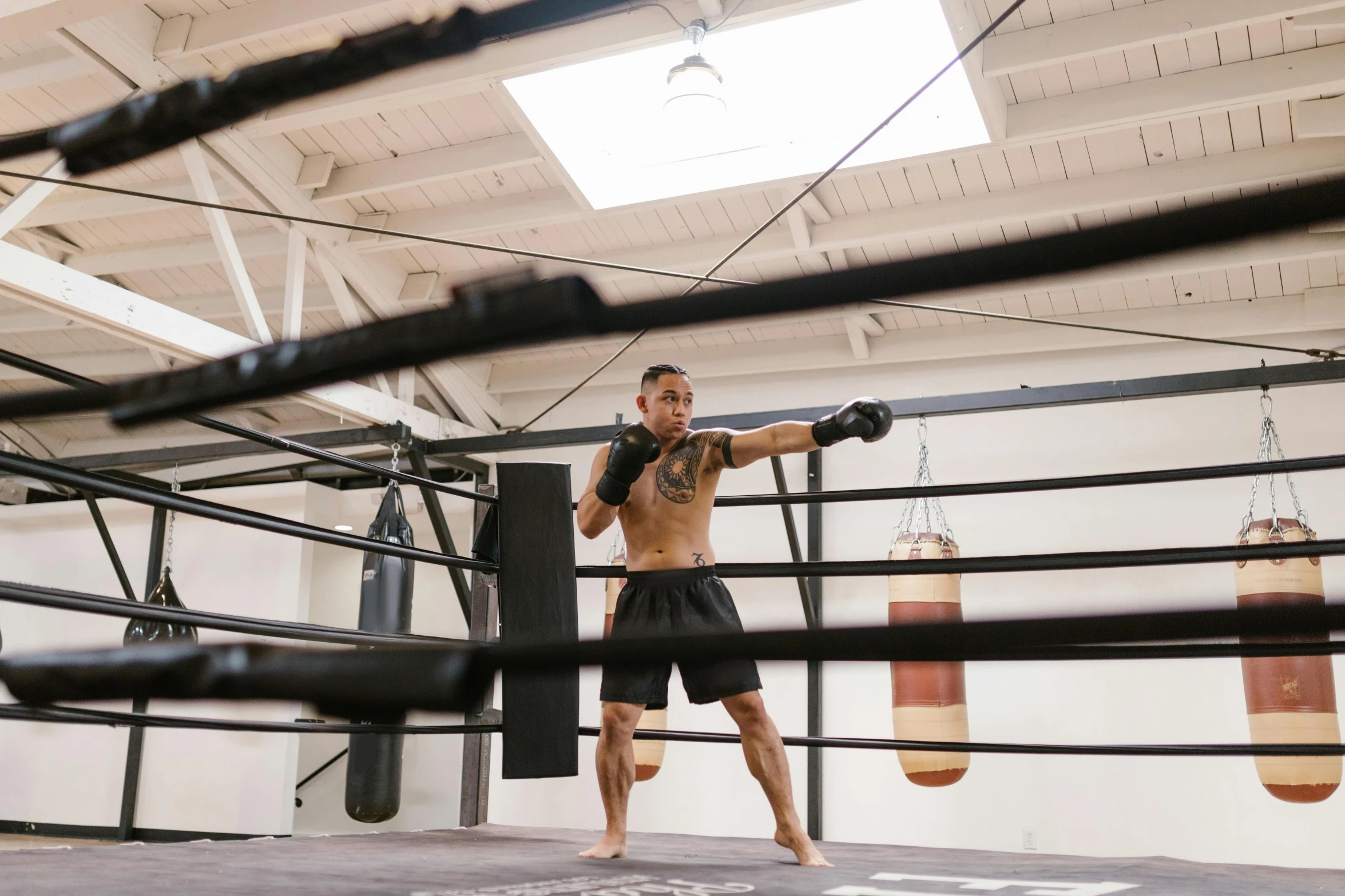 a man standing in the middle of a boxing ring, madhouse studios, manuka, damien tran, local gym