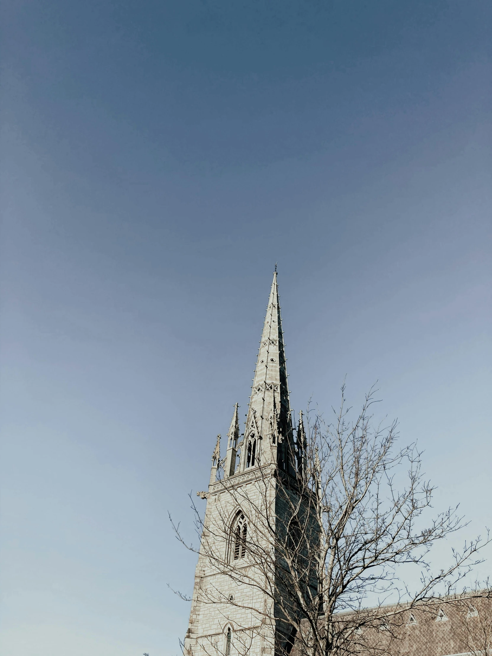 a church steeple sitting in the middle of a snow covered field, by IAN SPRIGGS, unsplash, minimalism, city buildings on top of trees, an enormous silver tree, taken from the high street, paul davey