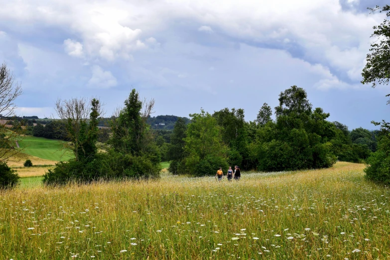 a group of people riding horses through a lush green field, les nabis, abbondio stazio, hiking trail, flower meadow, madgwick