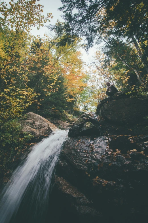 a waterfall in the middle of a forest, unsplash contest winner, hudson river school, 2 5 6 x 2 5 6 pixels, vermont fall colors, cozy, tall thin