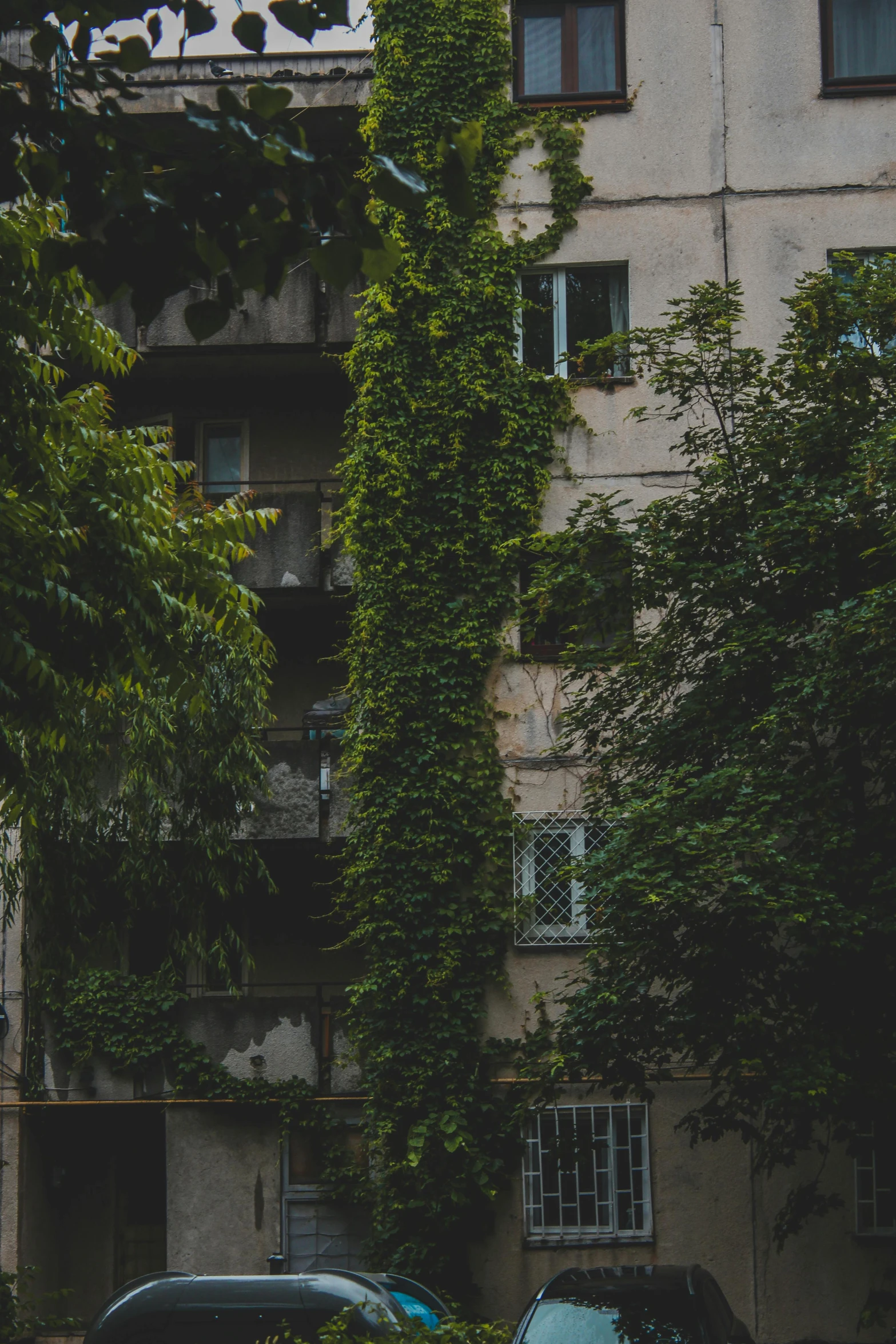 a couple of cars parked in front of a tall building, a photo, inspired by Elsa Bleda, pexels contest winner, renaissance, overgrown with lush vines, view from ground, soviet apartment buildings, vine covered