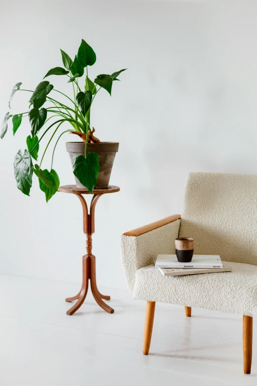 a living room filled with furniture and a potted plant, a still life, inspired by Constantin Hansen, trending on unsplash, wooden side table, pedestal, datura, sitting on chair