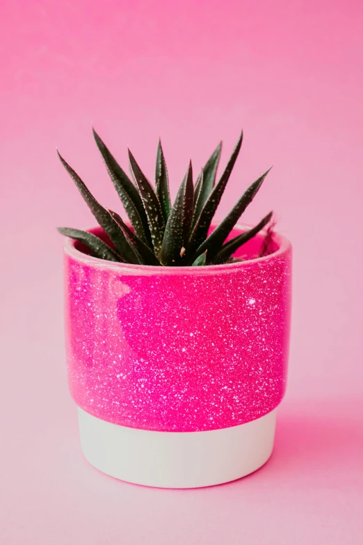 a small plant in a pink pot on a pink background, a stipple, trending on pexels, shiny glitter crystals, spiked, bright vivid color hues:1, black white pink