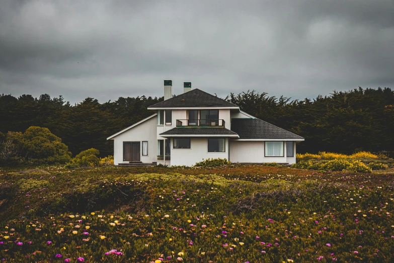 a white house sitting on top of a lush green hillside, by Carey Morris, unsplash, modernism, overcast gray skies, seashell house, flowers around, 70s photo