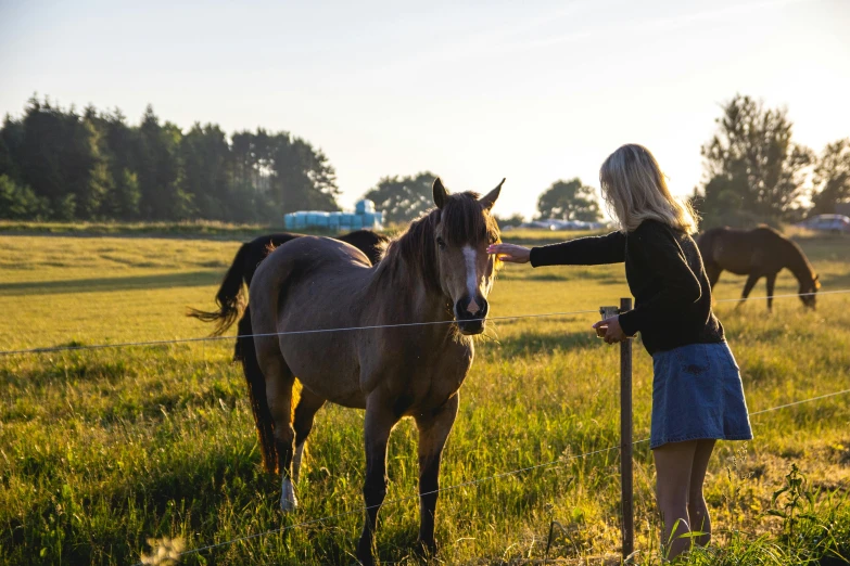 a woman standing next to a horse in a field, by Jan Tengnagel, unsplash, local conspirologist, late summer evening, hd footage, low quality photo