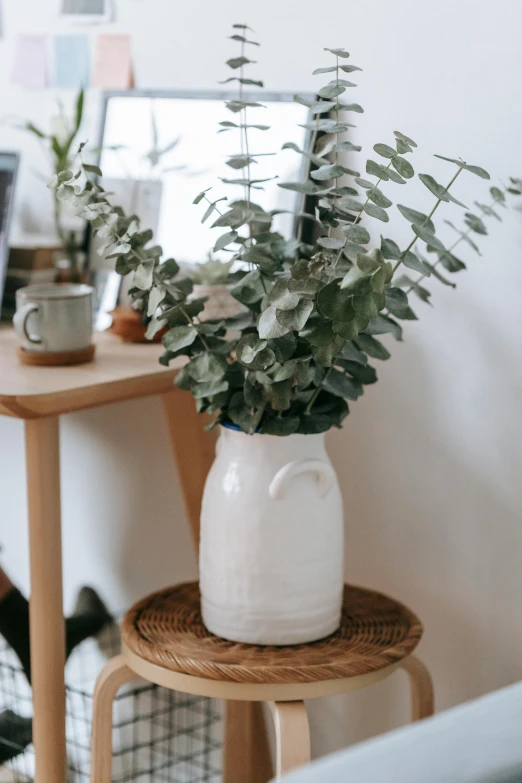 a white vase sitting on top of a wooden table, inspired by Constantin Hansen, trending on pexels, eucalyptus, soft vignette, milk, detailed product image