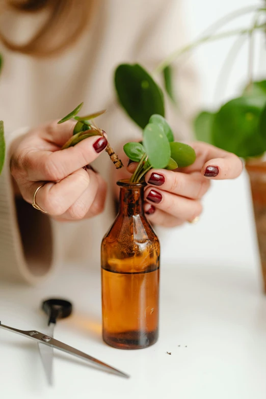 a close up of a person holding a plant in a bottle, by Julia Pishtar, trending on pexels, renaissance, woman made of plants, manuka, eucalyptus, strange ingredients on the table