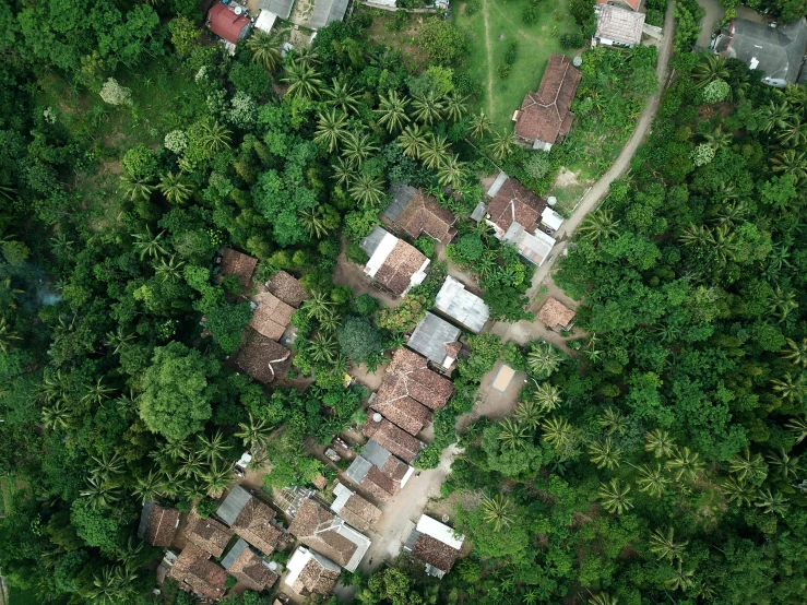 an aerial view of a small village surrounded by trees, pexels contest winner, hurufiyya, tiled roofs, jungle environment, college, il