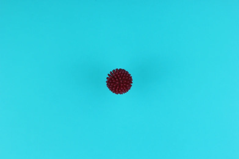 a red flower sitting on top of a blue surface, ball, 2 8 mm color, spiked, raspberry