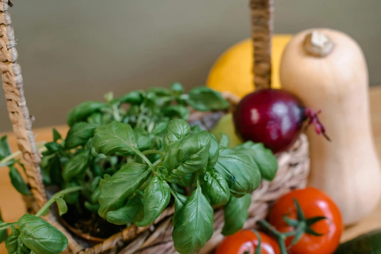 a basket filled with vegetables sitting on top of a table, profile image, basil, close up image, zoomed in