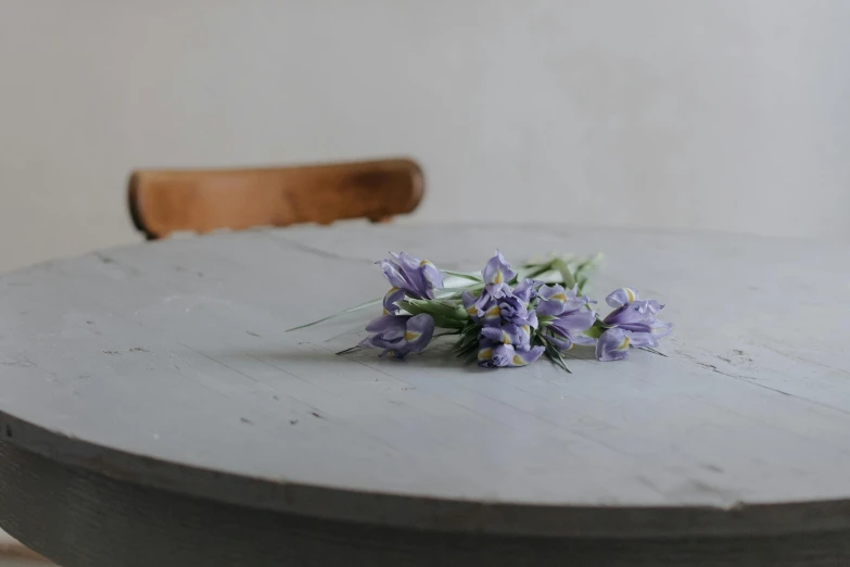 a bunch of purple flowers sitting on top of a table, by Sylvia Wishart, unsplash, soft grey and blue natural light, stone table, round iris, dining table