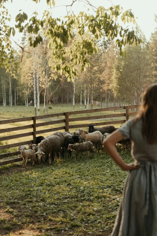 a woman standing in front of a herd of sheep, by Eero Järnefelt, pexels contest winner, romanticism, pastoral backyard setting, still from a movie, afternoon light, fences