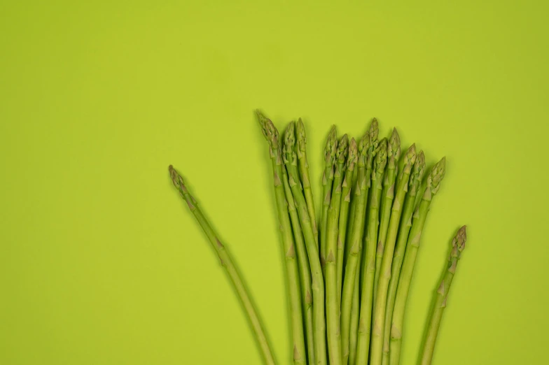 a bunch of asparagus on a green background, pexels, background image, 3 4 5 3 1, clemens ascher, vibrant aesthetic