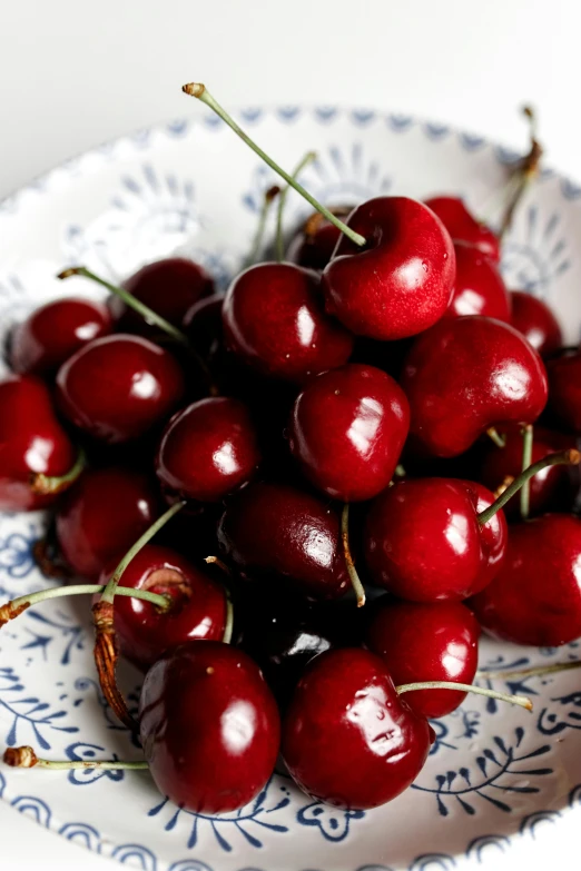 a close up of a bowl of cherries on a table, profile image