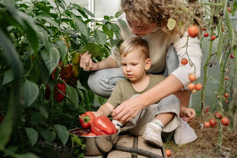 a woman and a child picking tomatoes in a greenhouse, by Julia Pishtar, pexels contest winner, watering can, avatar image, a handsome, thumbnail