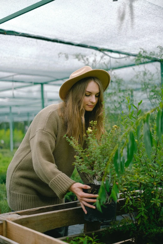 a woman tending to plants in a greenhouse, pexels contest winner, she is wearing a hat, manuka, avatar image, wearing a green sweater