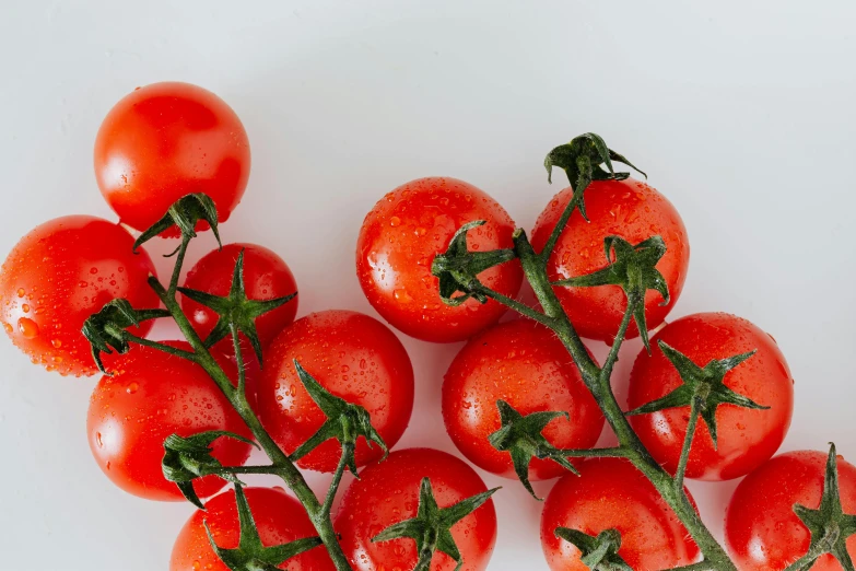 a bunch of tomatoes sitting on top of a white table, by Tom Bonson, trending on unsplash, background image, stems, taken from the high street, on clear background