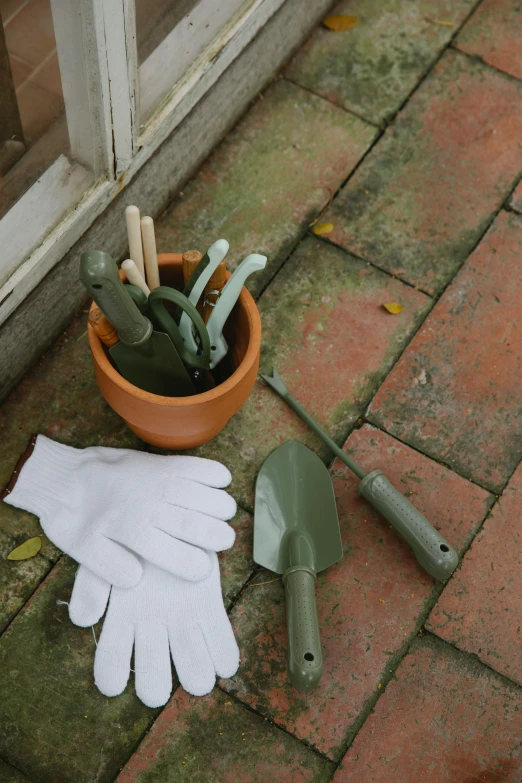 a potted plant sitting on the ground next to a pair of gardening gloves, product display photograph, sage green, birdseye view, brick