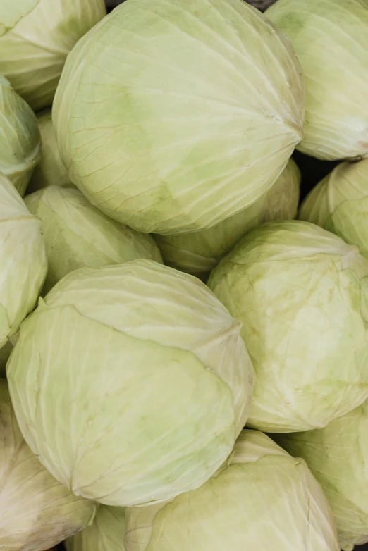 a pile of cabbages sitting on top of each other, pale green glow, 6 pack, adult, multiple stories