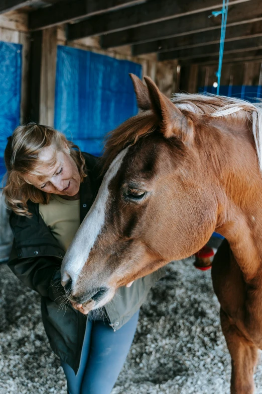 a woman standing next to a brown and white horse, comforting, laurie greasely, a high angle shot, featured