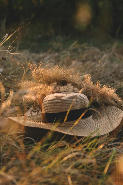 a hat sitting on top of a grass covered field, unsplash, conceptual art, brown, cottagecore, stringy, seasonal