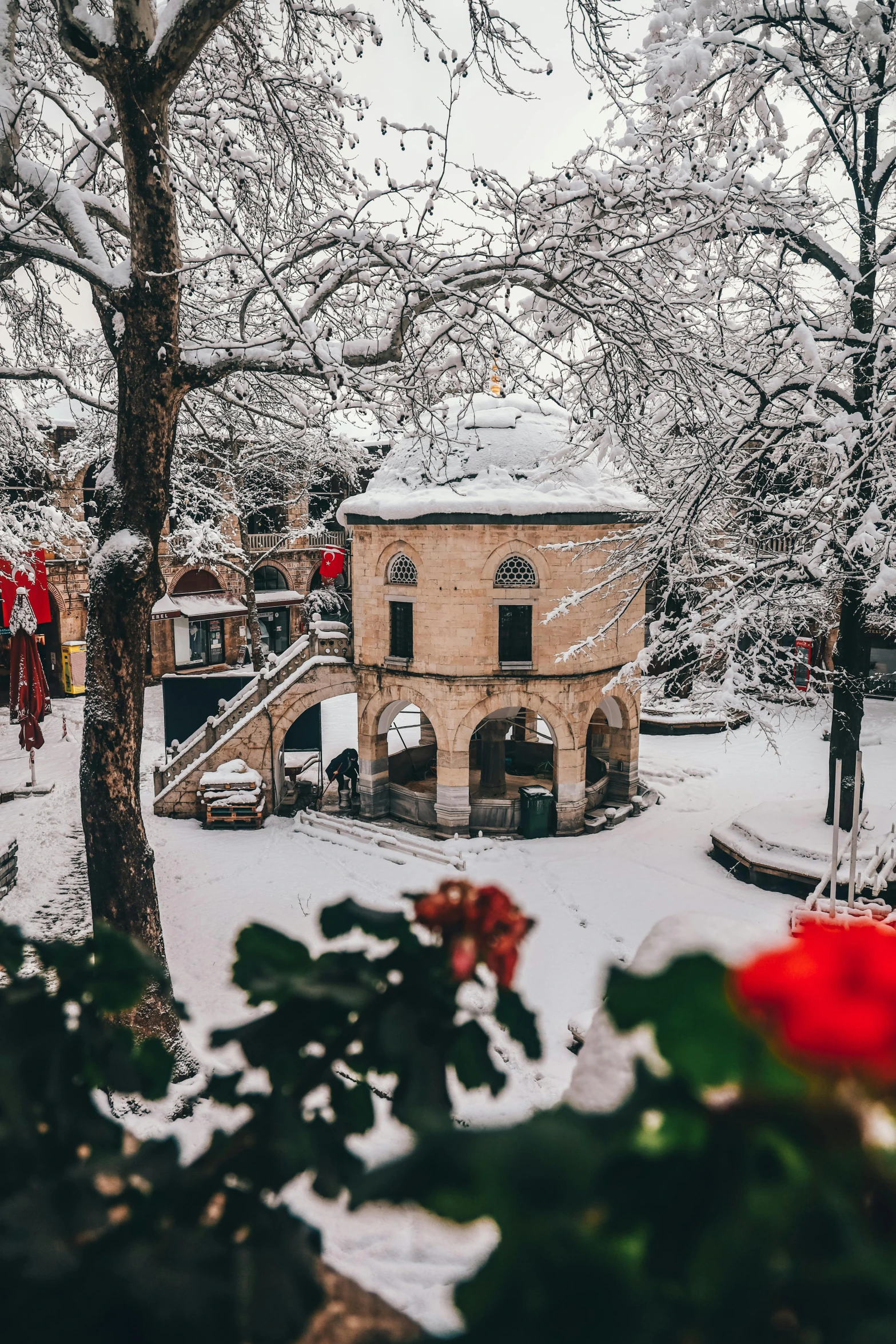 a building surrounded by trees covered in snow, a photo, pexels contest winner, art nouveau, turkey, flowers in foreground, 🎀 🧟 🍓 🧚, pilgrim village setting