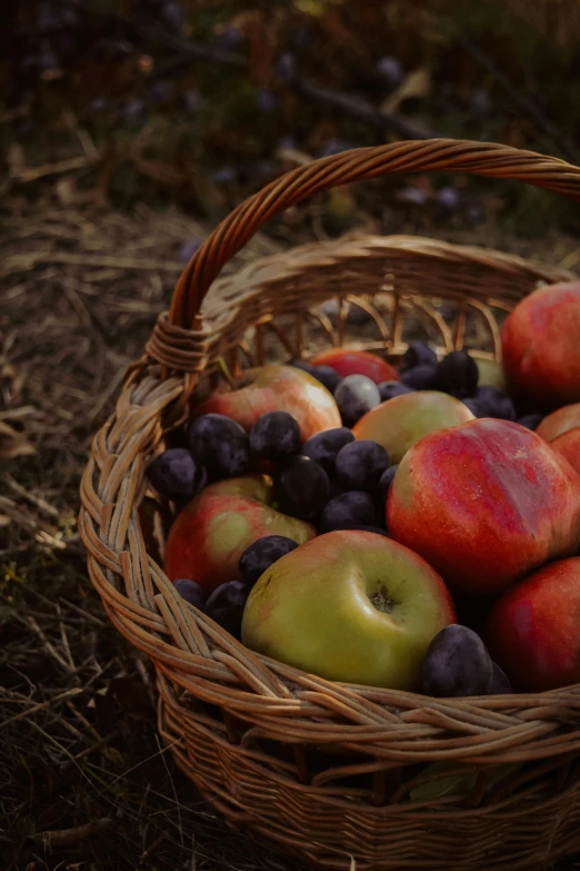 a wicker basket full of apples and blueberries, unsplash, renaissance, 15081959 21121991 01012000 4k, late summer evening, purple and scarlet colours, cinematic close shot