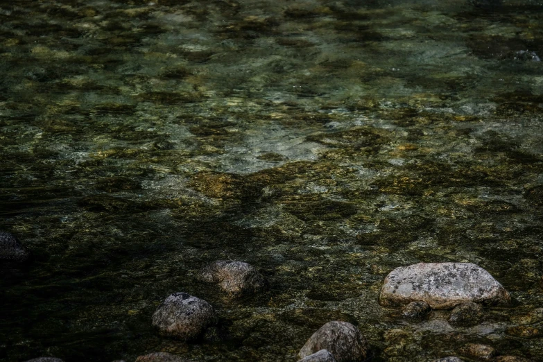 a group of rocks sitting on top of a river, an album cover, unsplash, tonalism, dark green water, ((rocks)), alessio albi, fishes swimming