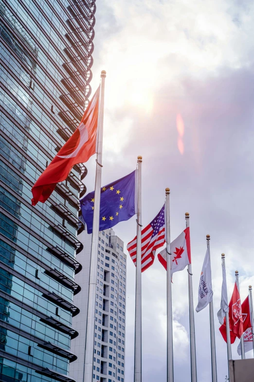 a group of flags flying in front of a building, high buildings, profile image, hotel room, day time