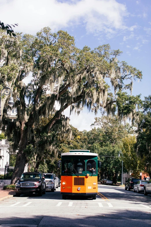 a bus that is driving down a street, spanish moss, square, orange, overlooking
