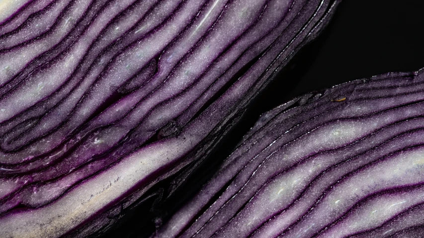 a close up of a purple vegetable sliced in half, by Carey Morris, pexels, renaissance, a pair of ribbed, deep impasto, black tendrils, folds