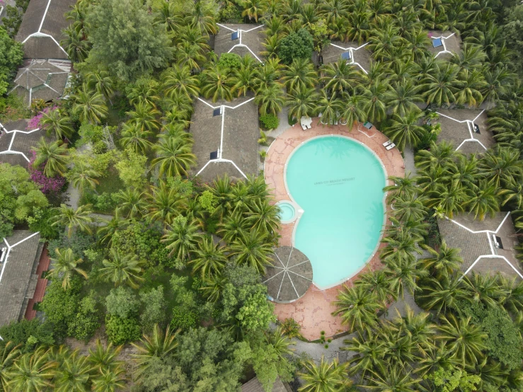 an aerial view of a pool surrounded by palm trees, hurufiyya, vietnam, the poolrooms, round, lush green