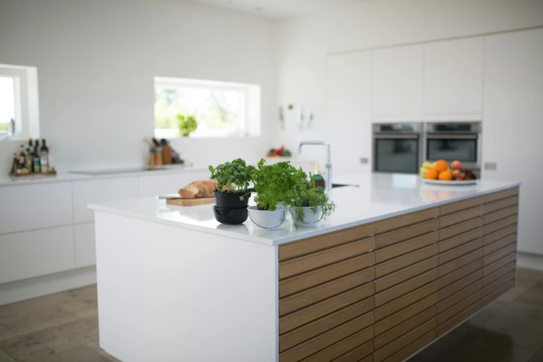 the kitchen is clean and ready for us to use, a 3D render, pexels contest winner, minimalism, gardening, kitchen counter, multiple stories, clean details