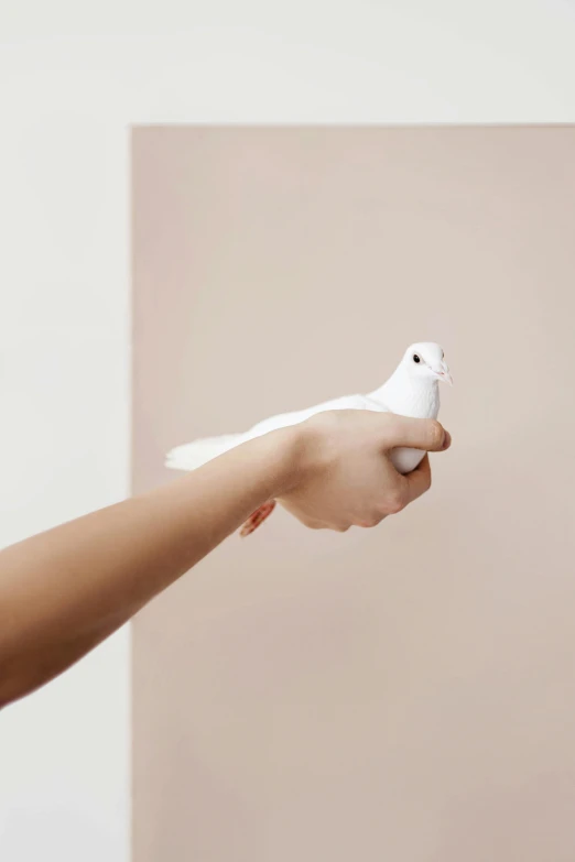 a person holding a remote control in their hand, an ambient occlusion render, by Paul Bird, pexels contest winner, a spotted dove flying, pale milky white porcelain skin, cute pictoplasma, clemens ascher
