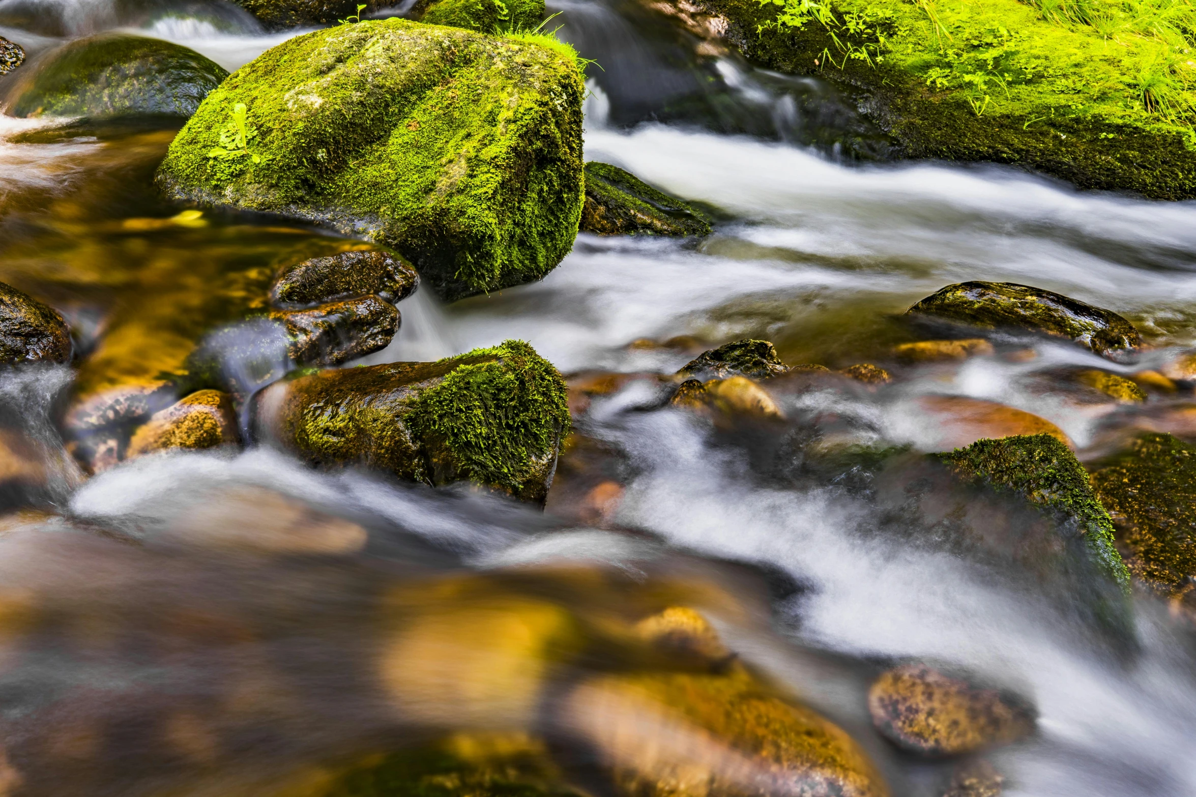 a stream running through a lush green forest, by Alexander Robertson, pexels contest winner, floating rocks, thumbnail, liquid gold, closeup photo