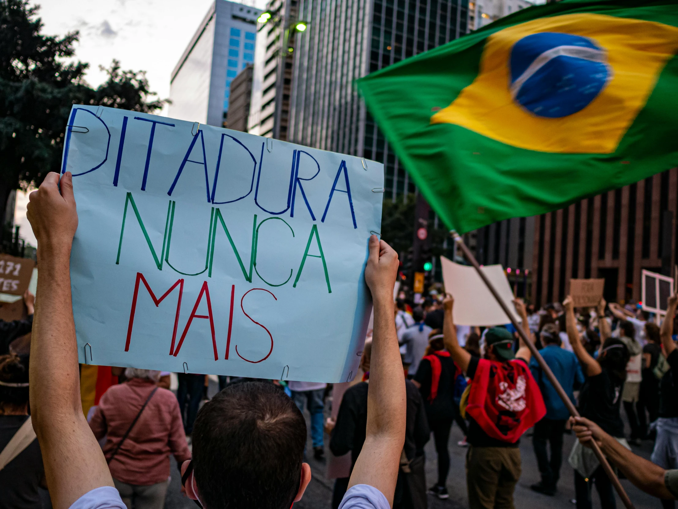 a man holding a sign in the middle of a crowd, by Fernando Gerassi, brazilian flag, high-quality photo, thumbnail, instagram post