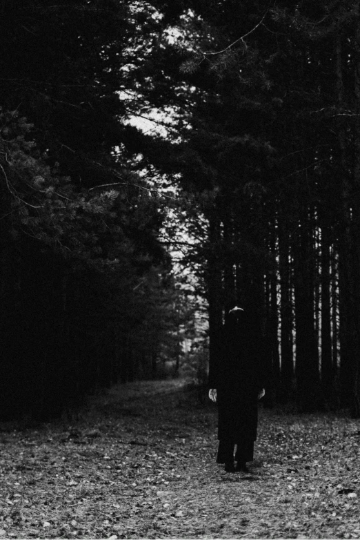 a man standing in the middle of a forest, a black and white photo, inspired by Kati Horna, with no face, promo image, man in black, far - mid shot