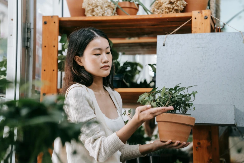 a woman holding a potted plant in a greenhouse, a picture, trending on pexels, arts and crafts movement, japanese collection product, woman holding sign, painting a canvas, thumbnail