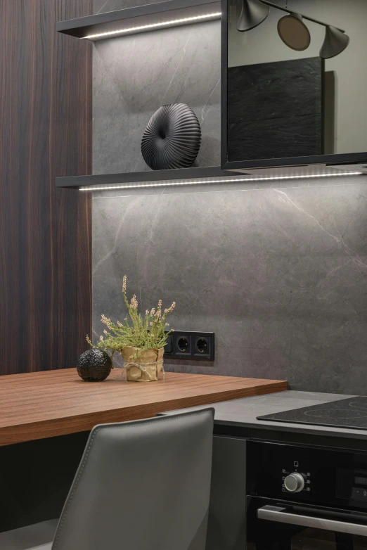 a table with a potted plant on top of it, dark kitchen, accent lighting : : peugot onyx, anthracite, above lighting
