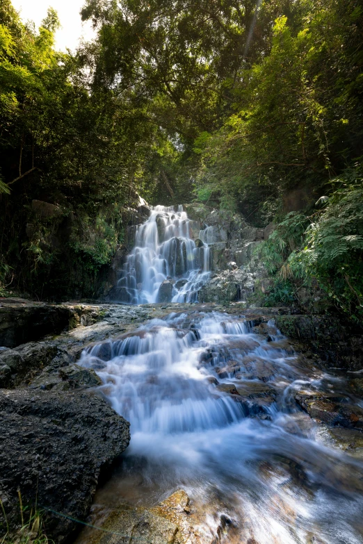 a waterfall flowing through a lush green forest, unsplash, te pae, sunny morning light, today\'s featured photograph 4k, manuka