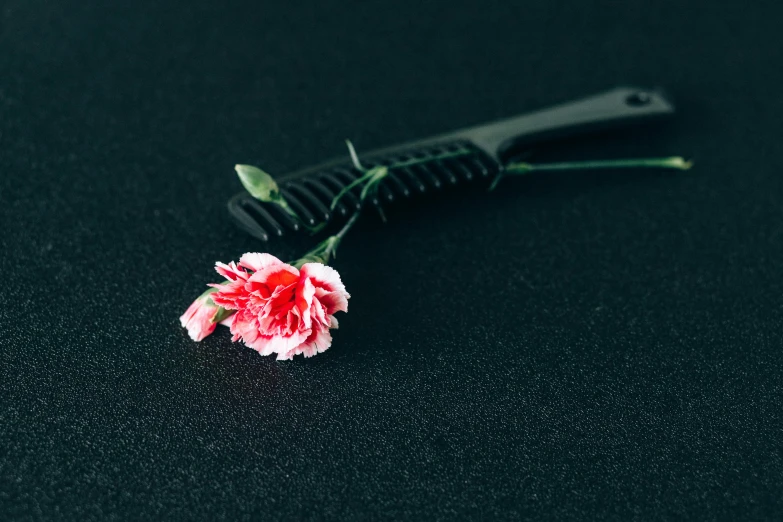 a pink flower sitting on top of a black table, afro comb, a salt&pepper goatee, red on black, wet brush